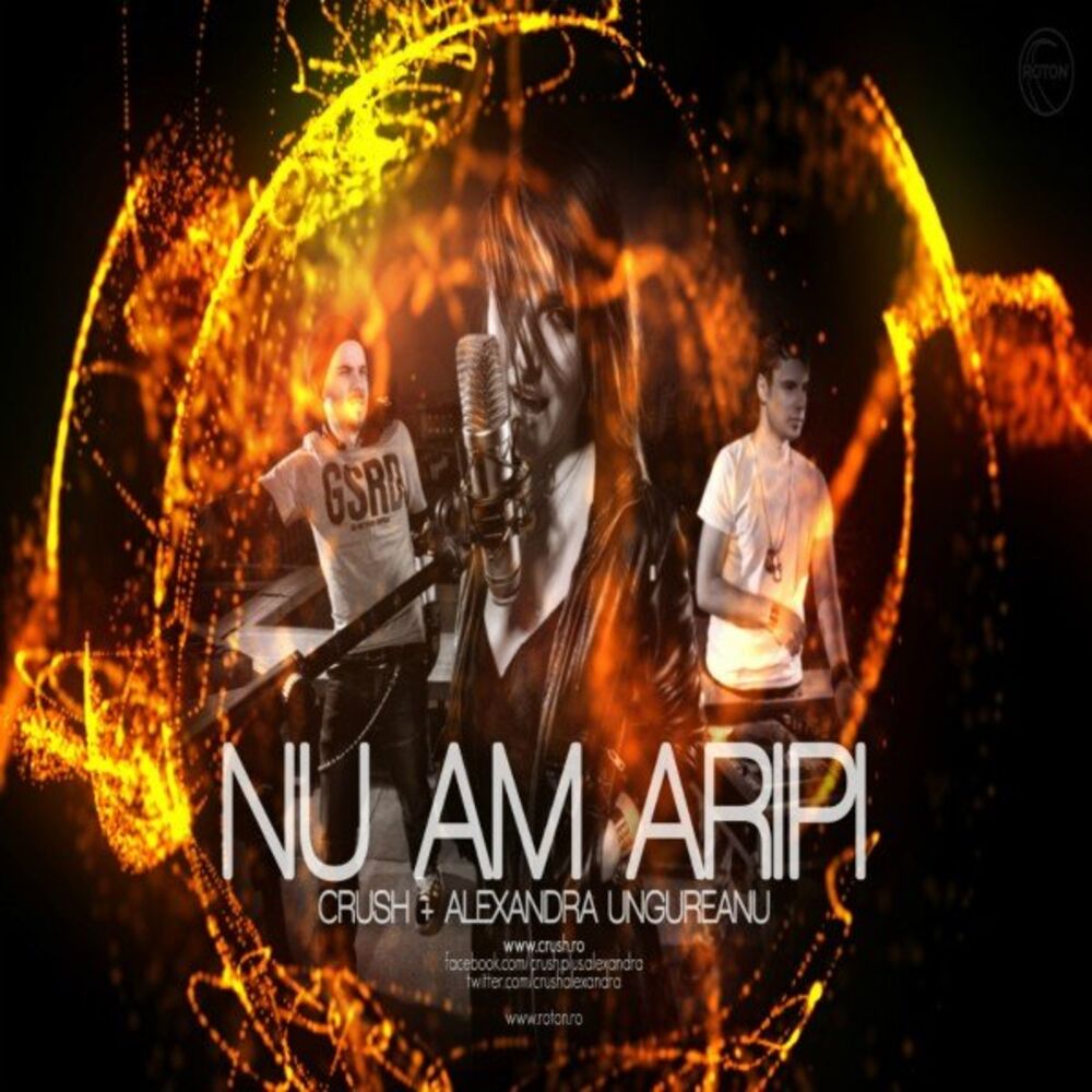 Picture of Nu am aripi