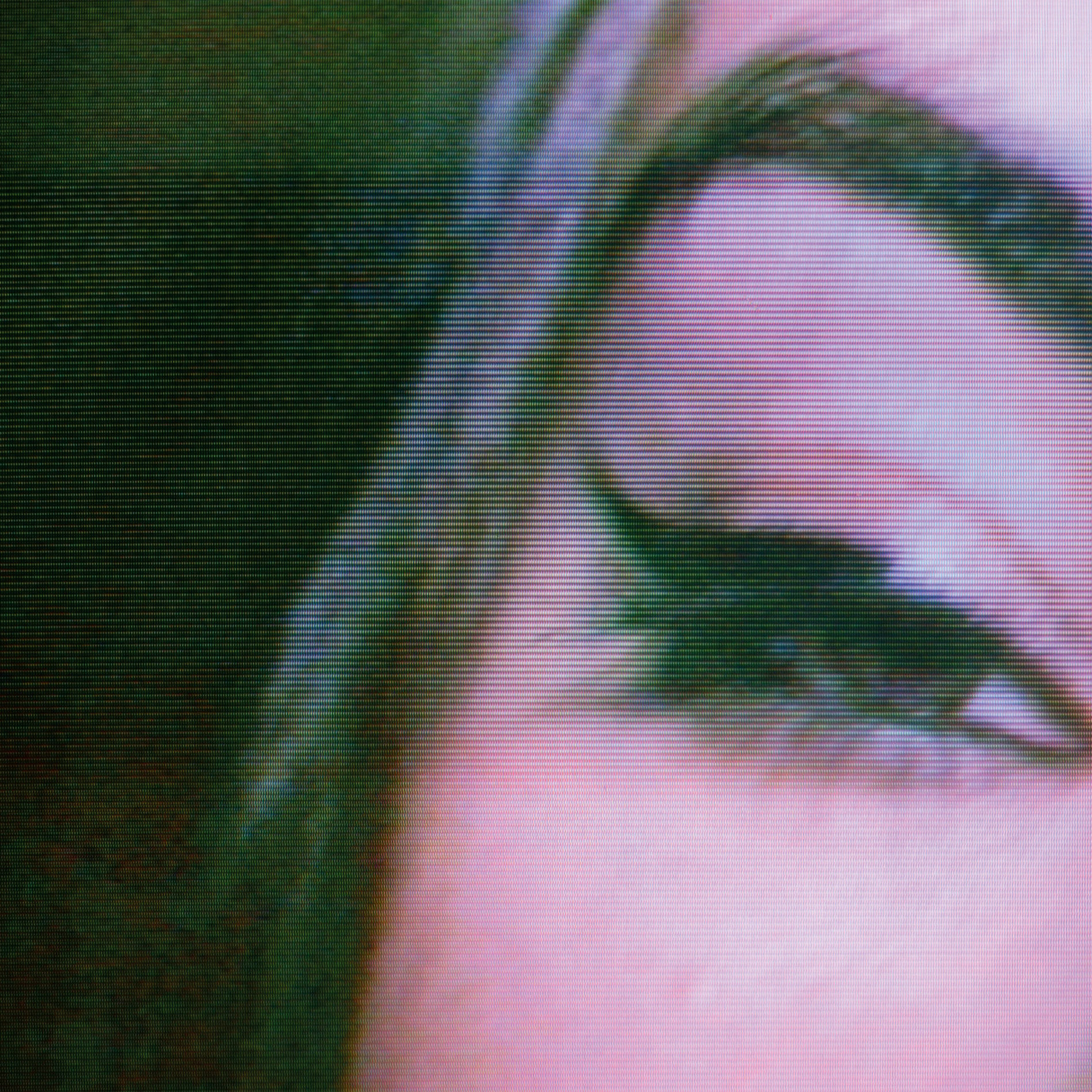 Album cover of Honey