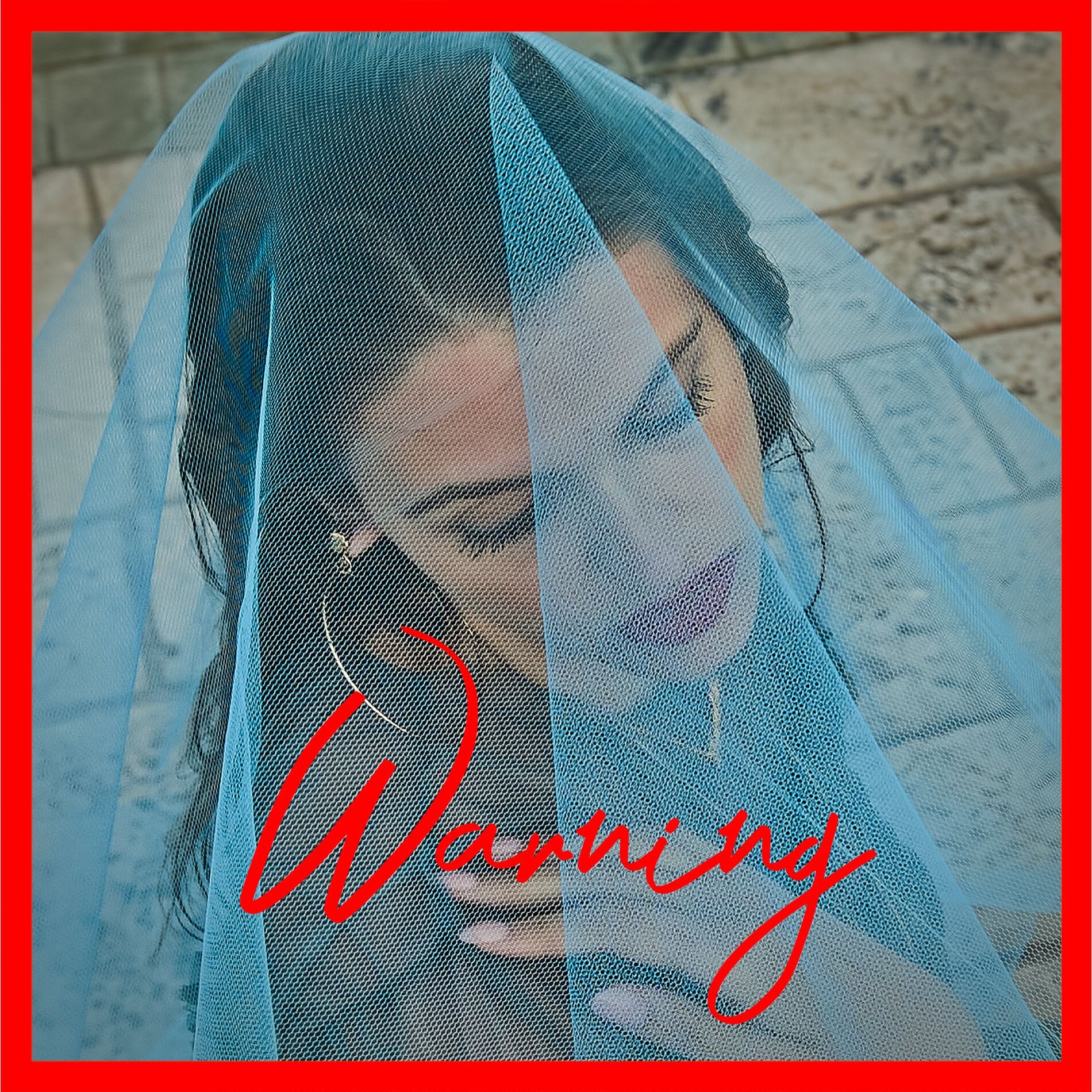 Album cover of Warning