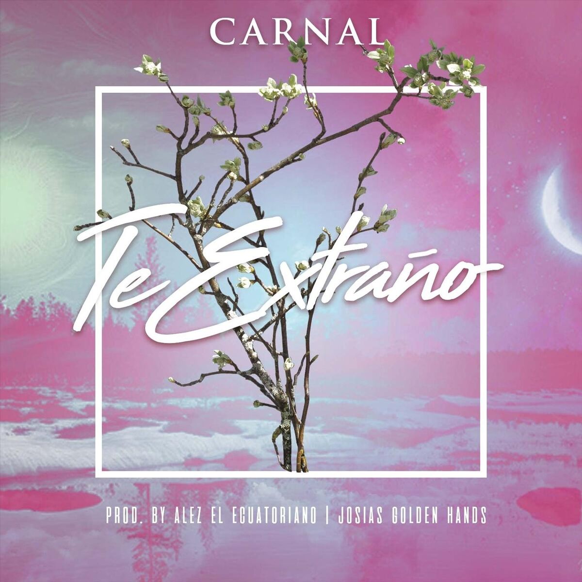 Album cover of Te Extraño