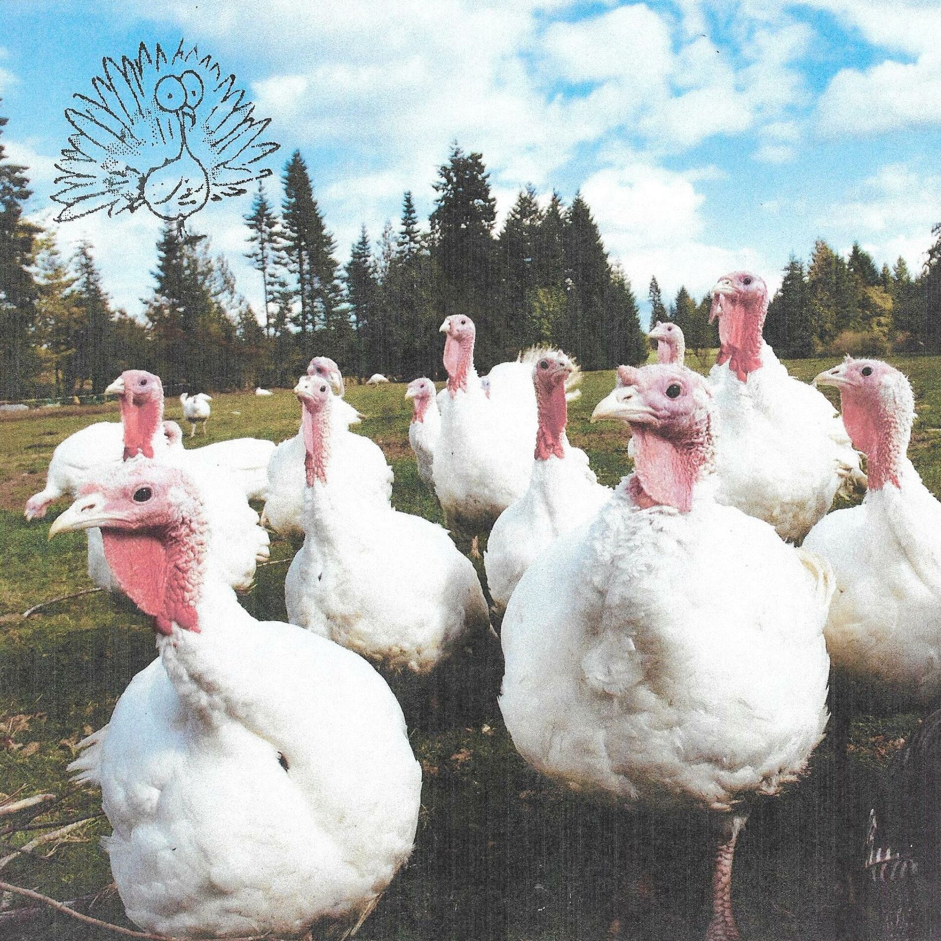 Album cover of Clock Tower