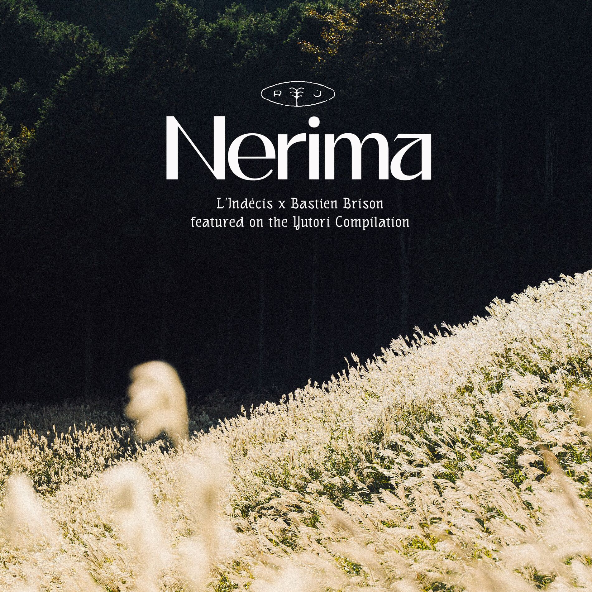 Album cover of Nerima