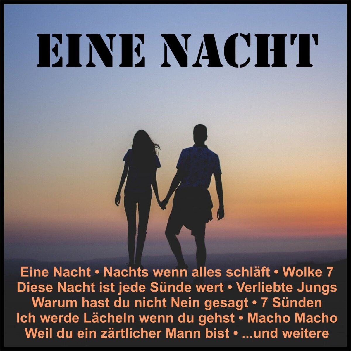 Album cover of Eine Nacht