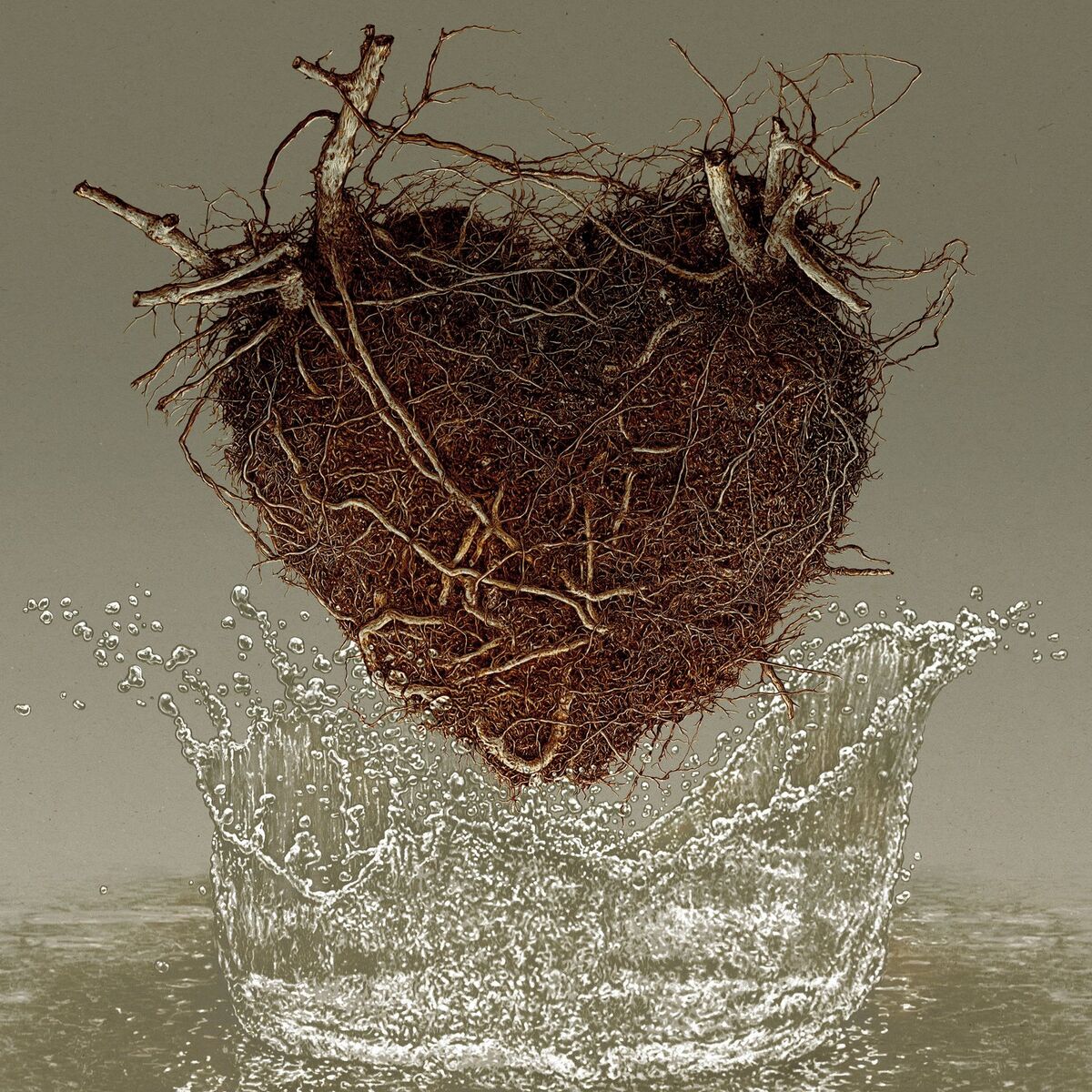 Album cover of Las Canciones del Agua