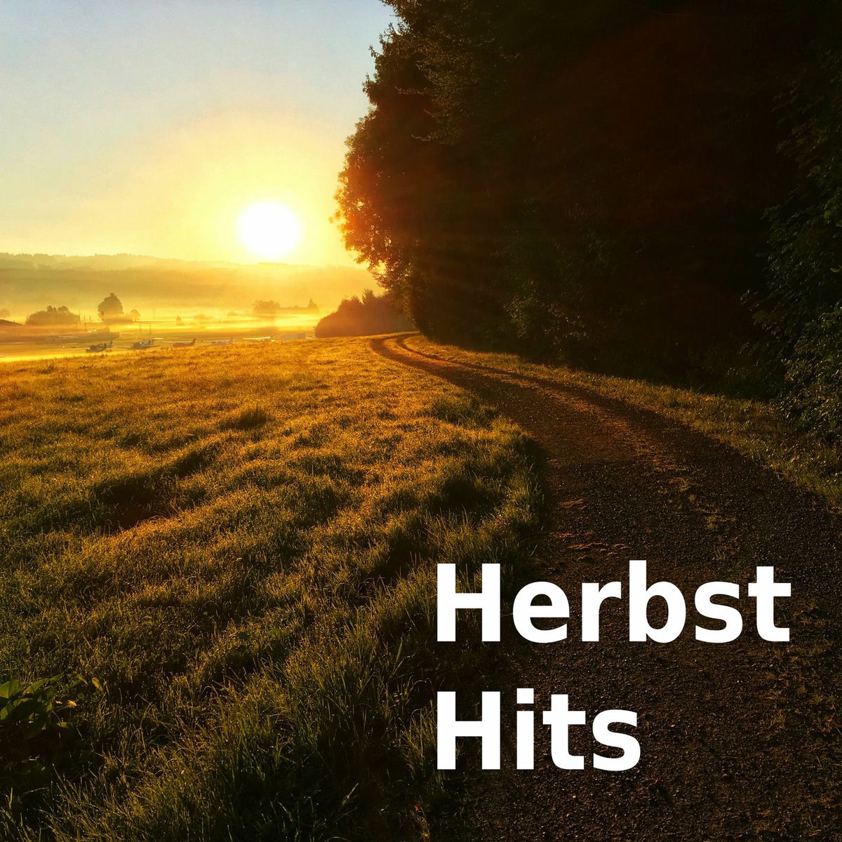 Album cover of Herbst Hits