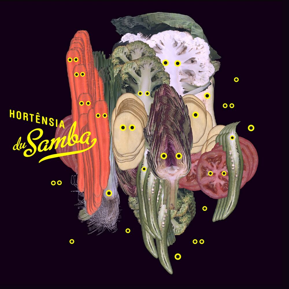 Picture of Hortensia du samba