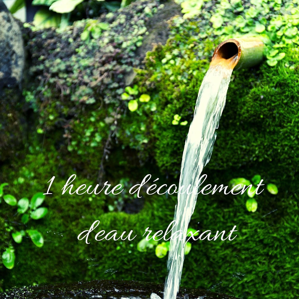 Album cover of 1 heure d'écoulement d'eau relaxant: Son de la nature avec une musique relaxante profonde