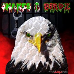 Cover of Snakes & Birds