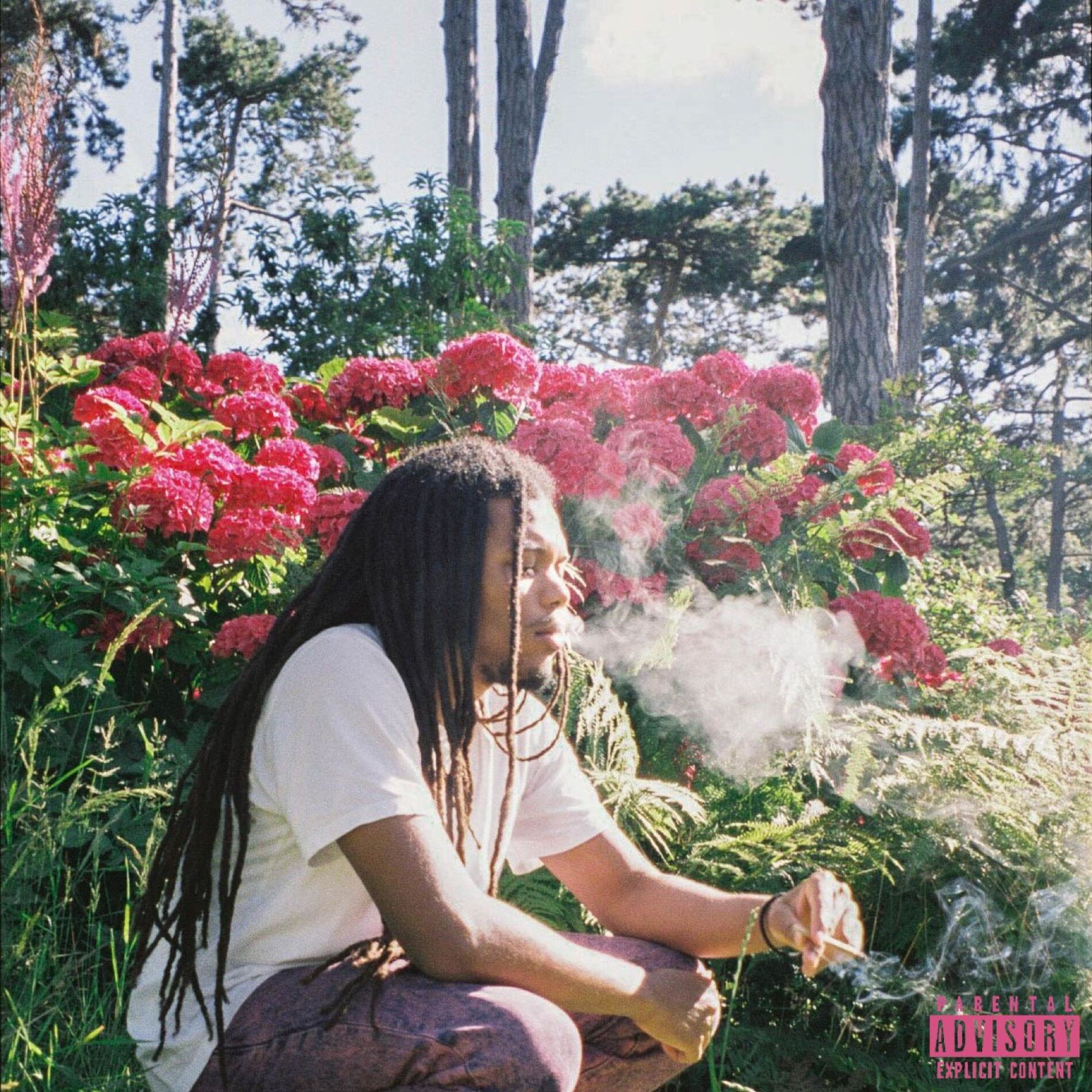 Album cover of PLT/Slowdown (feat. Serane)
