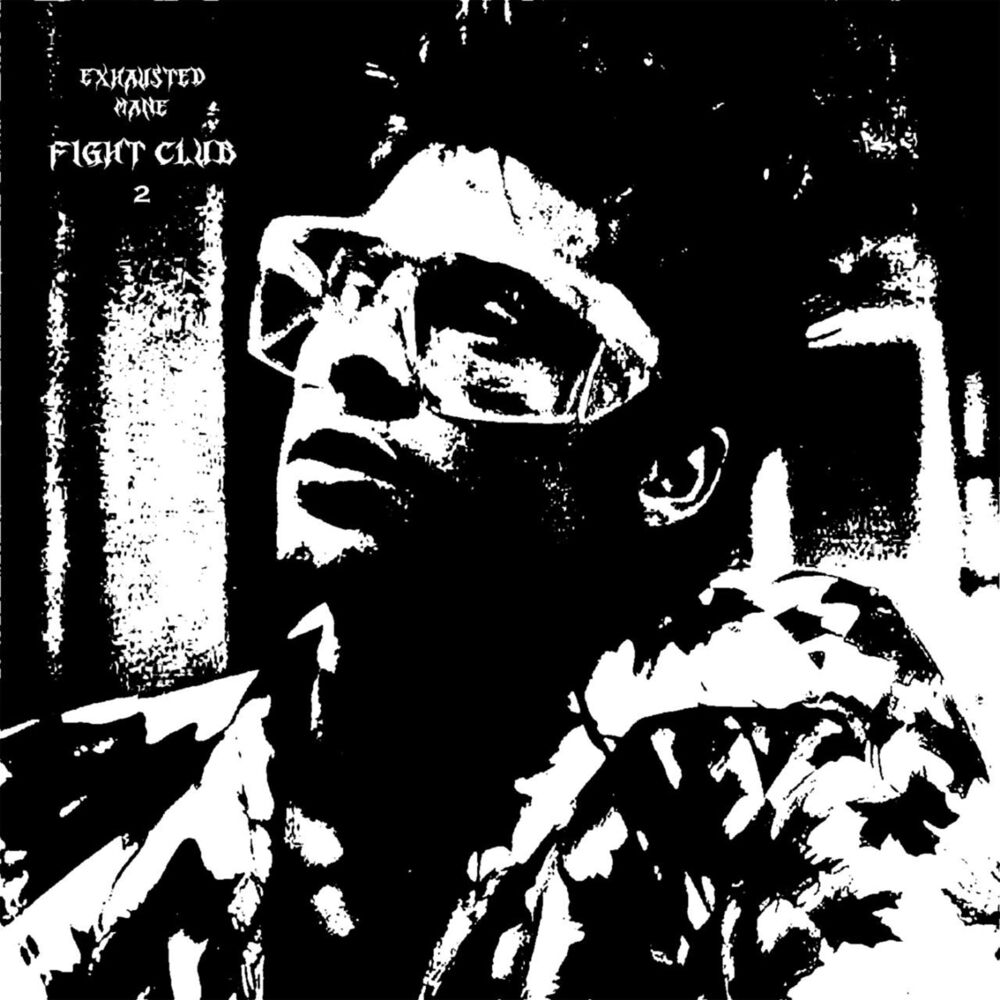 Picture of FIGHT CLUB 2