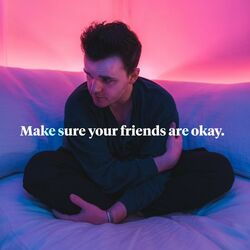 Cover of Make sure your friends are okay.