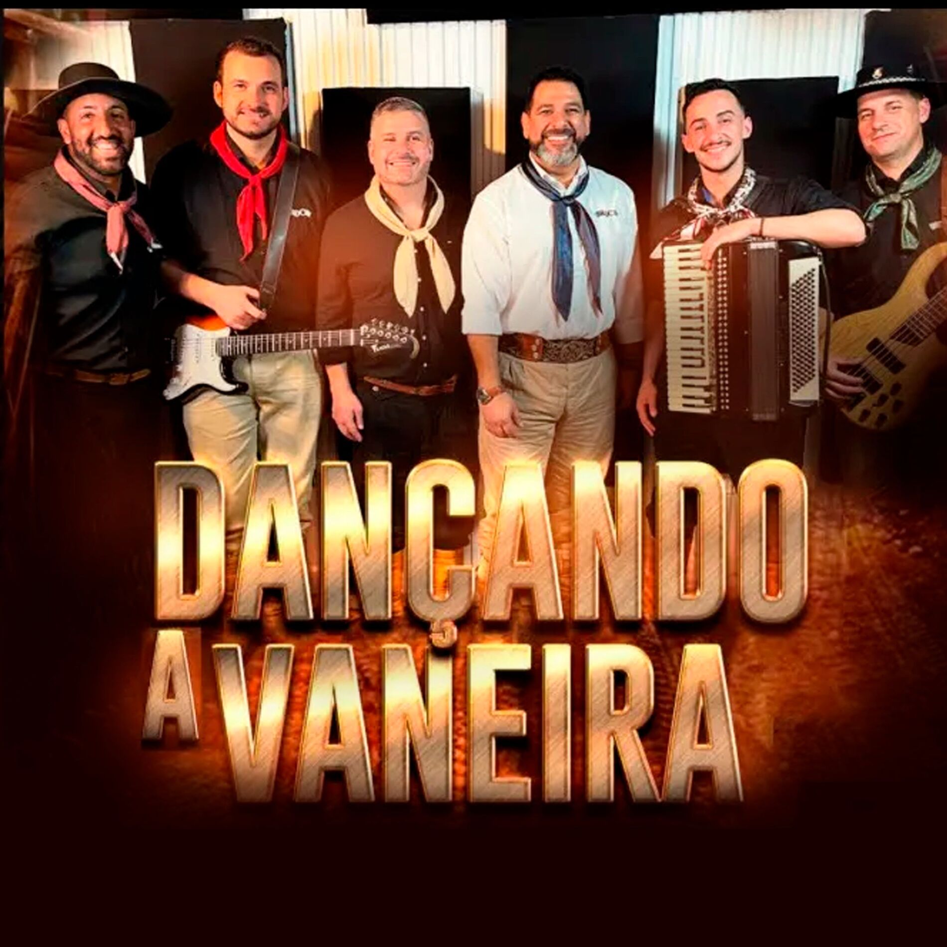 Album cover of Dançando Vaneira