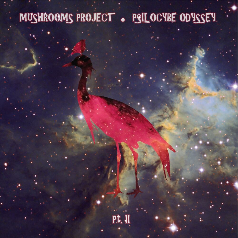 Picture of Psilocybe Odyssey (Pt. 1)