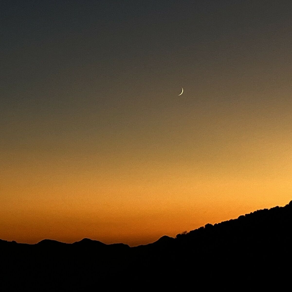 Album cover of for the moon