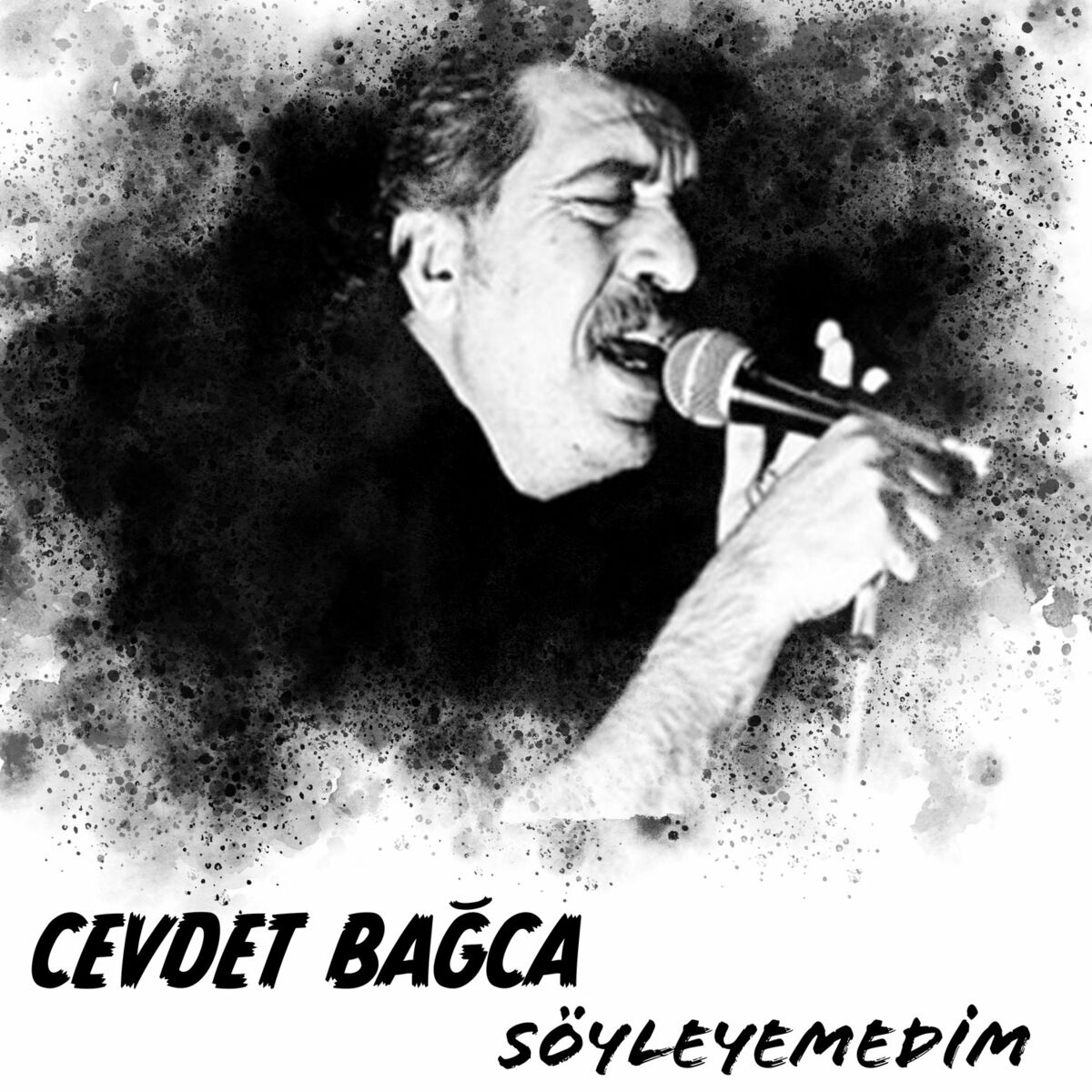 Album cover of Söyleyemedim
