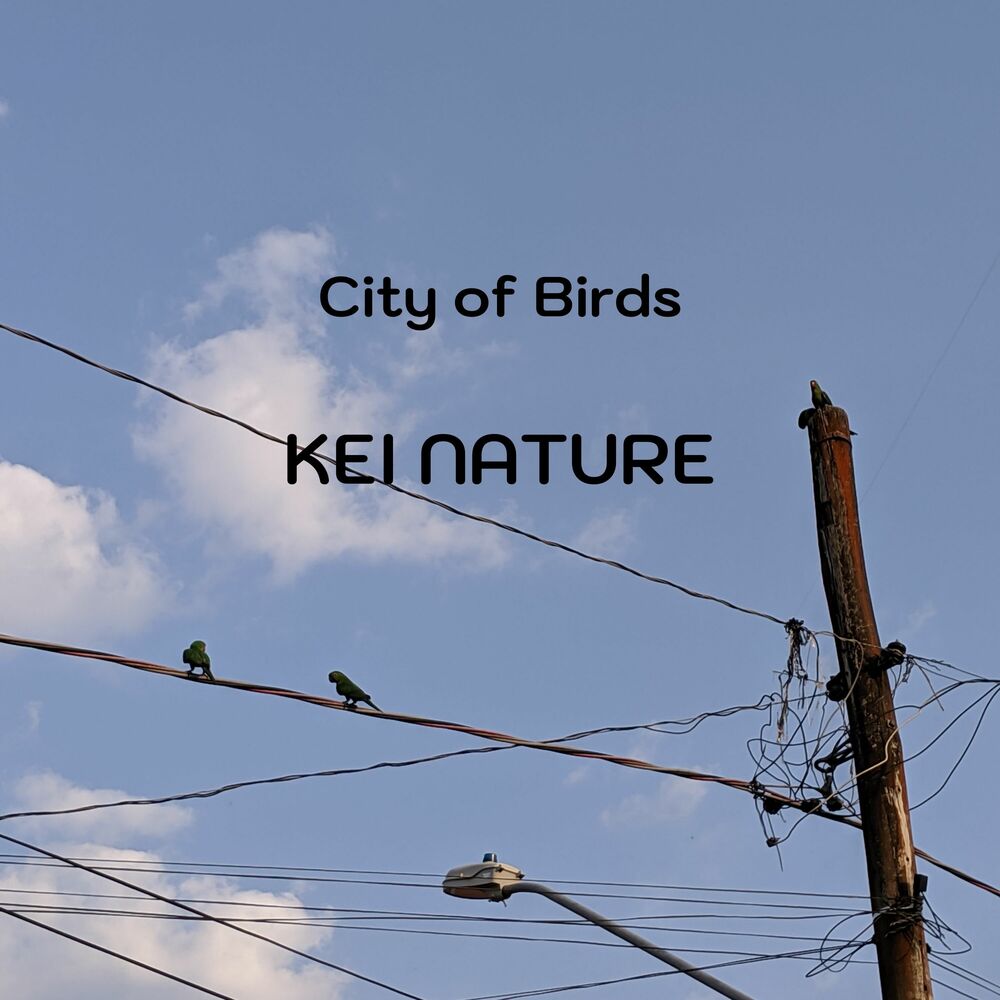 Picture of City of Birds