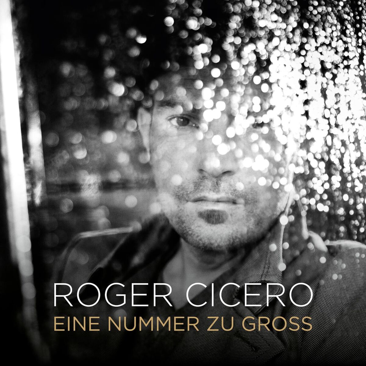 Album cover of Eine Nummer zu groß