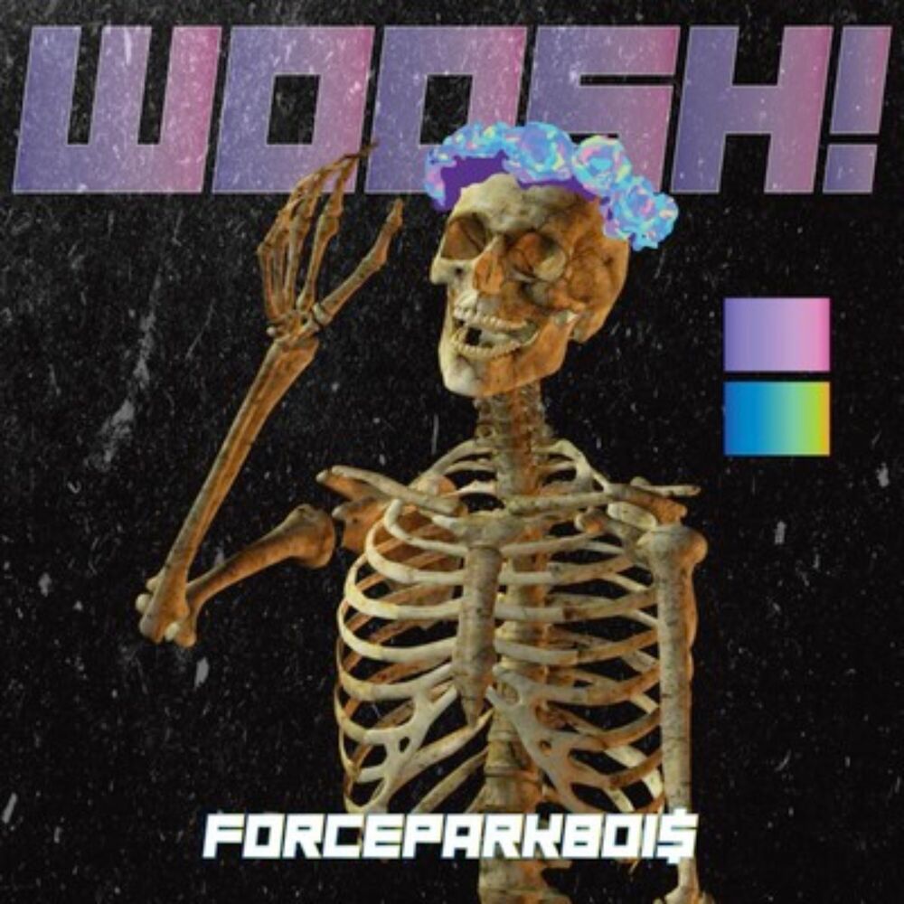 Picture of WOOSH!