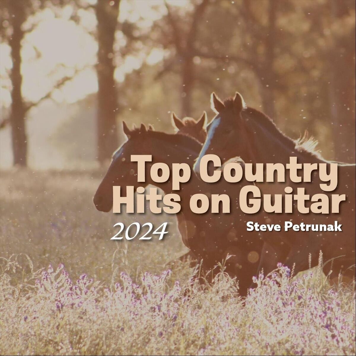 Album cover of Top Country Hits on Guitar