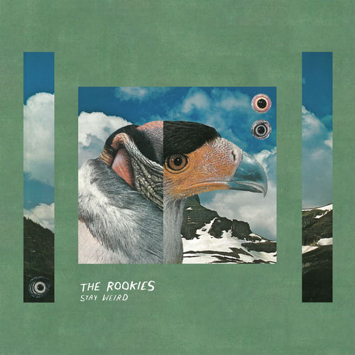 Stay Weird - The Rookies | Deezer
