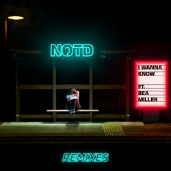 Cover of I Wanna Know (Remixes)