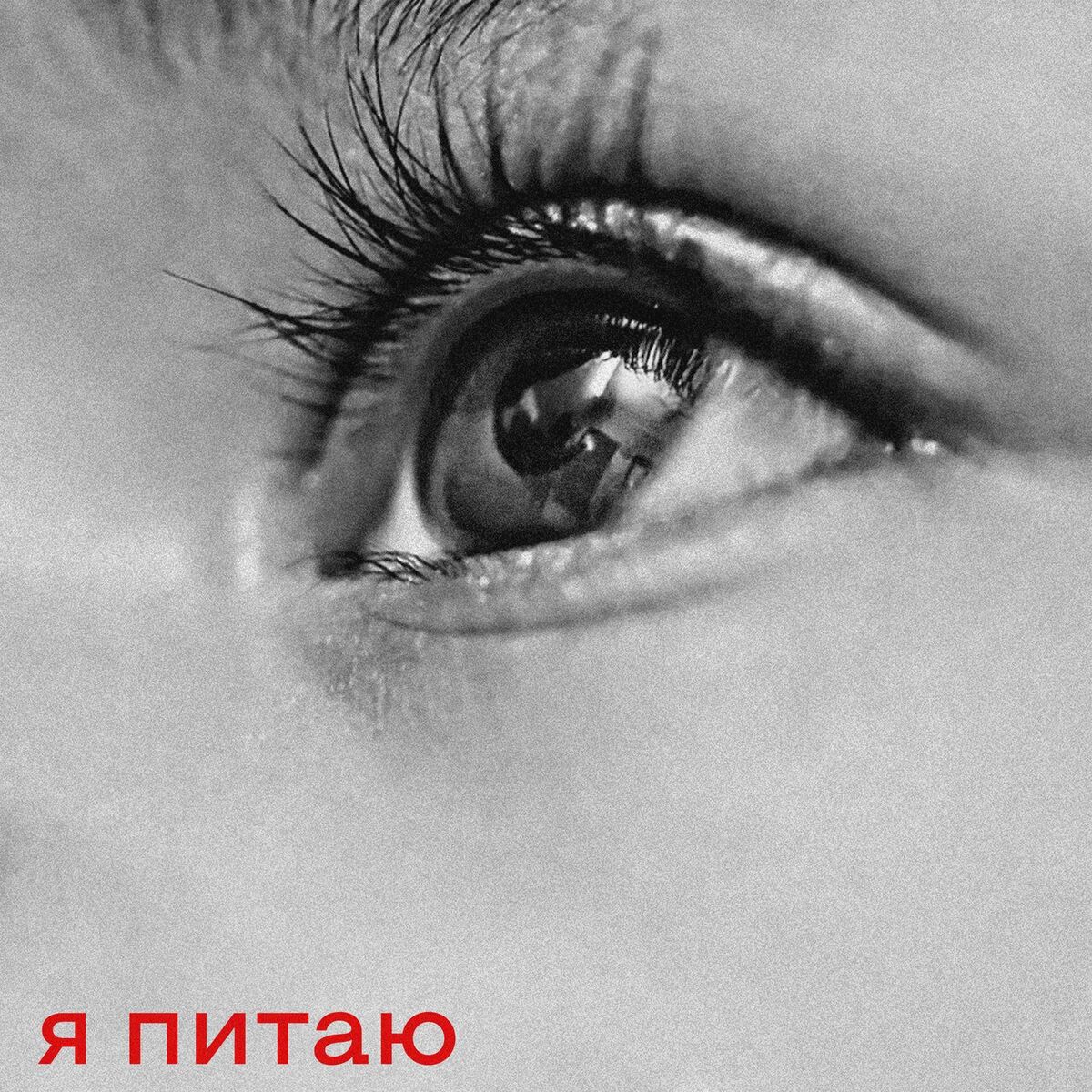 Album cover of Я питаю (Official Instrumental)