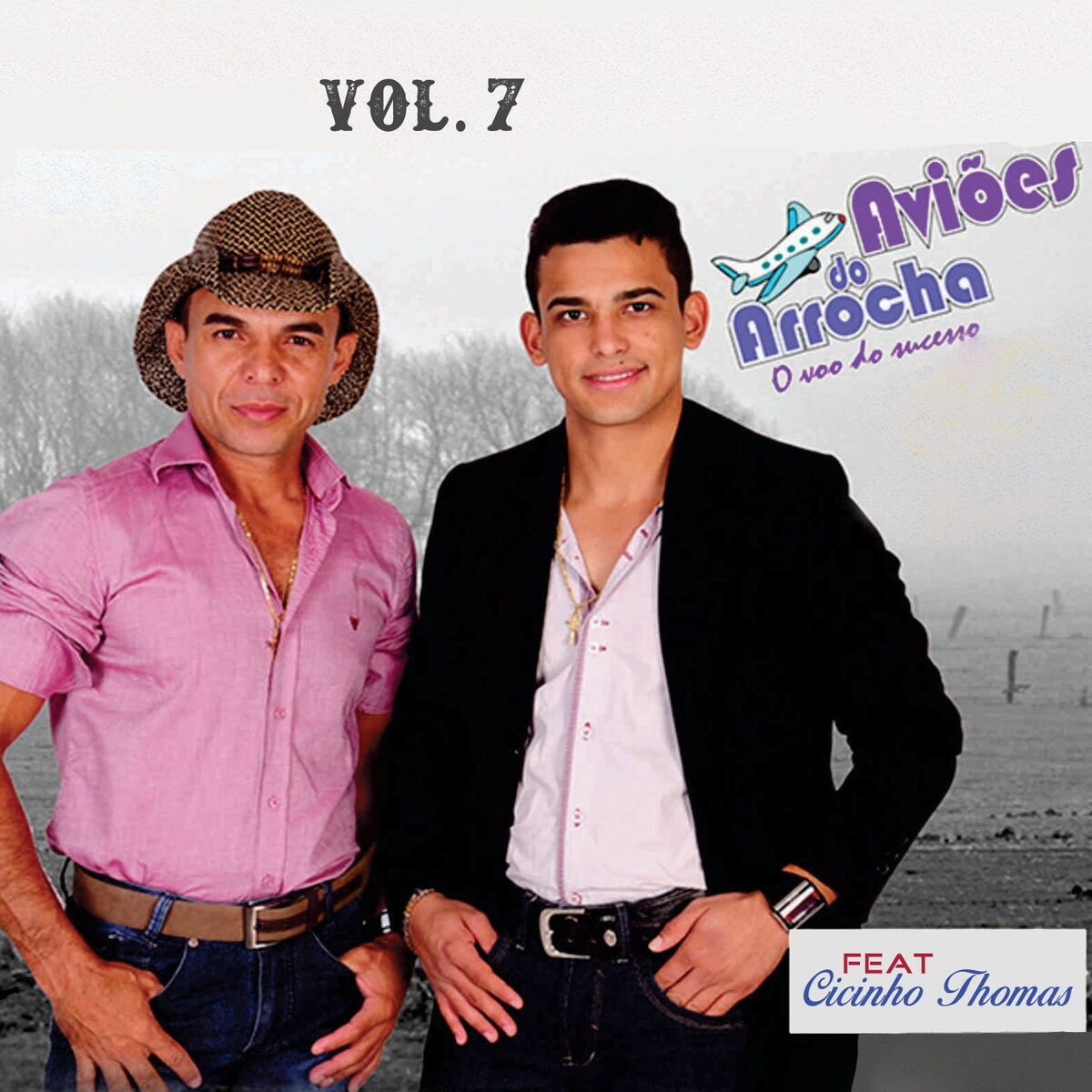 Album cover of O Voo Do Sucesso, Vol. 7