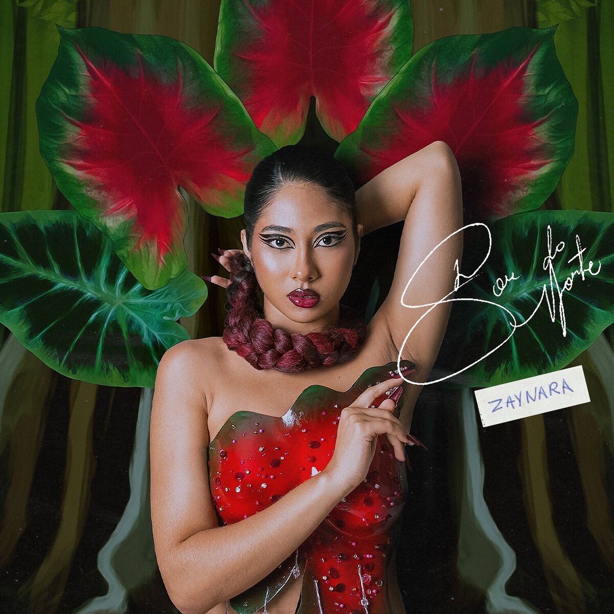 Album cover of Sou do Norte
