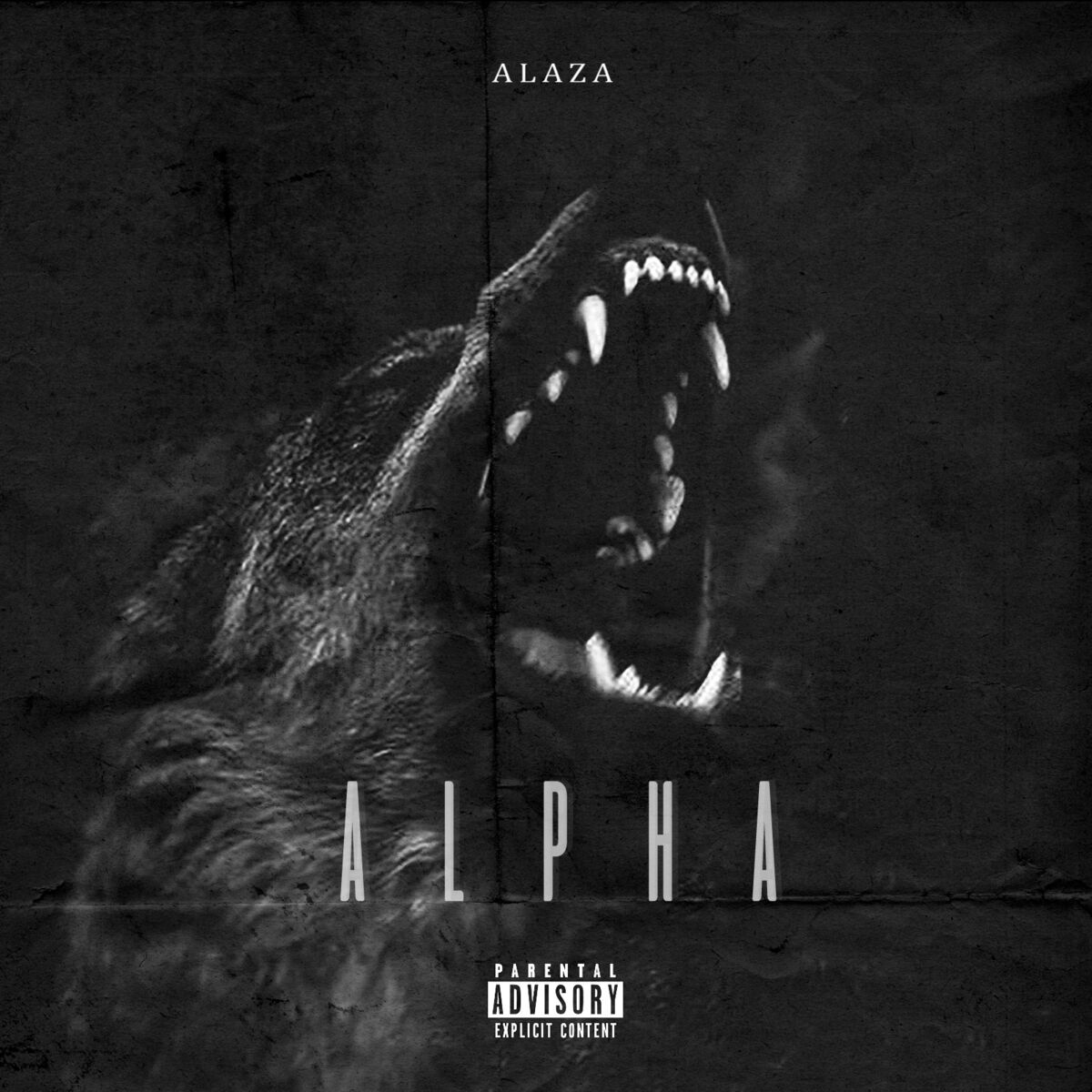 Album cover of Alpha