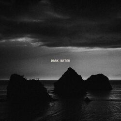 Cover of Dark Water