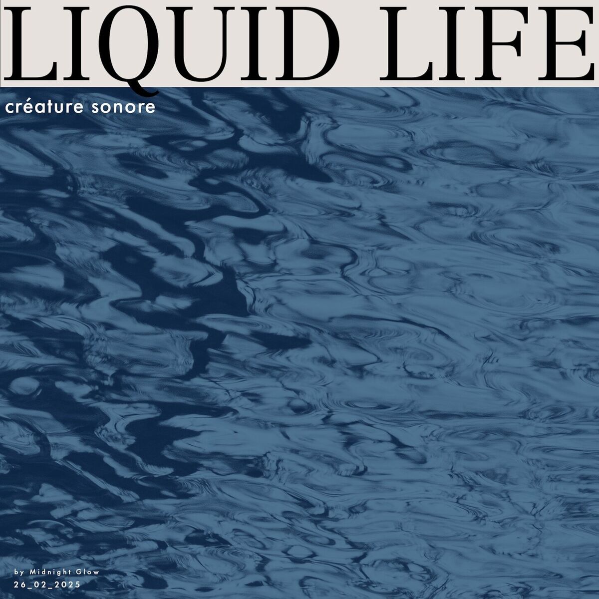 Album cover of liquid life