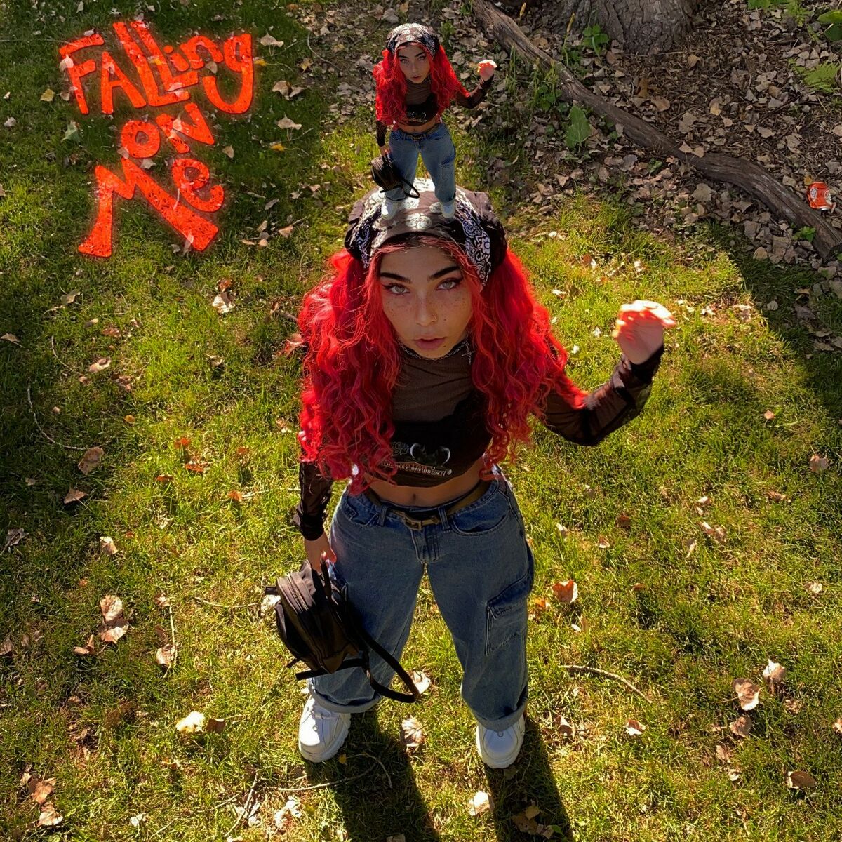 Album cover of falling on me
