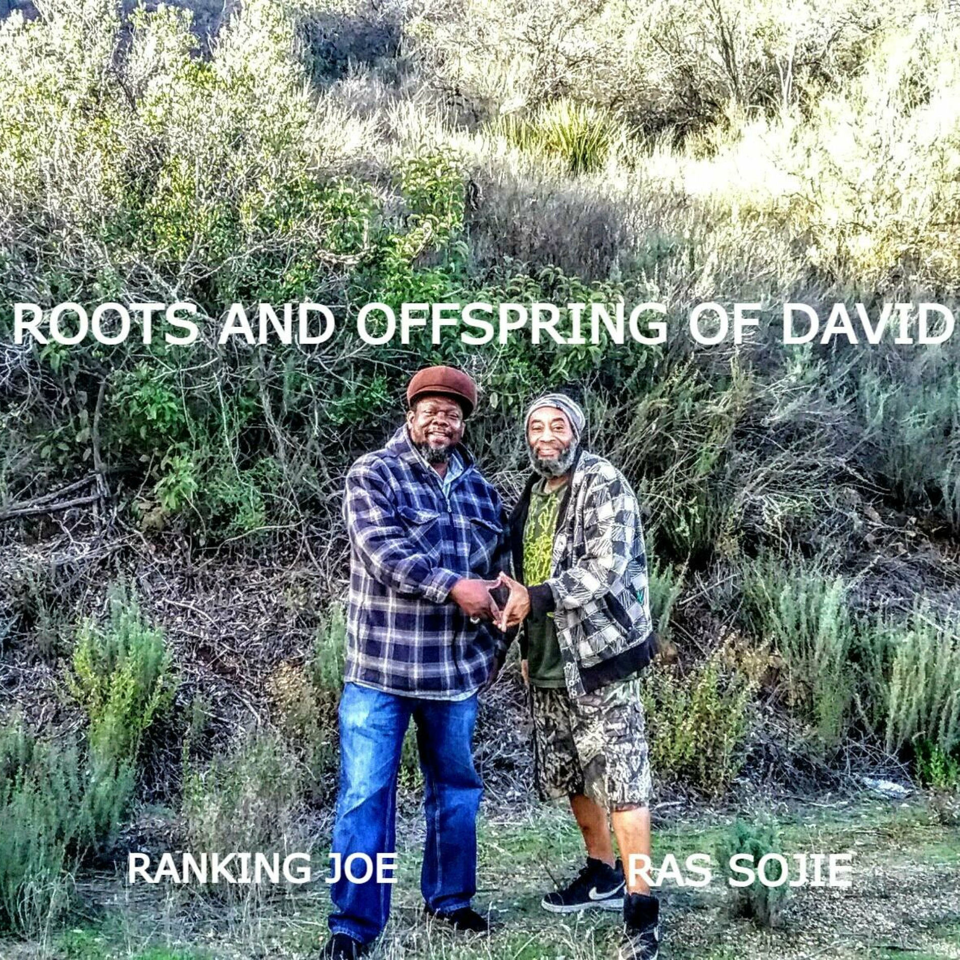 Album cover of ROOTS AND OFFSPRING OF DAVID (feat. Ranking Joe)