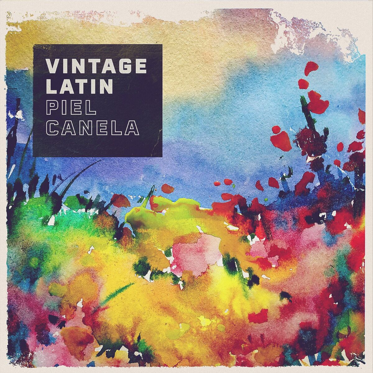 Album cover of Piel Canela