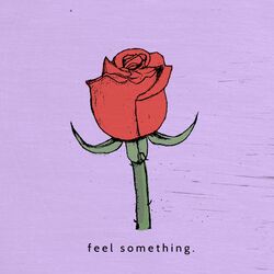 Cover of Feel Something
