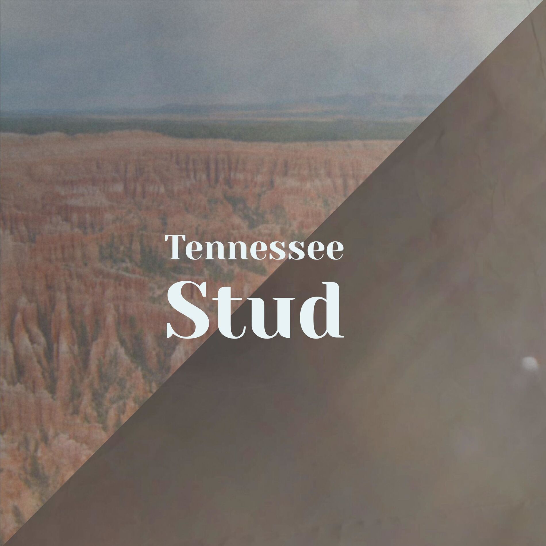 Album cover of Tennessee Stud