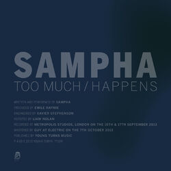 Cover of Too Much / Happens