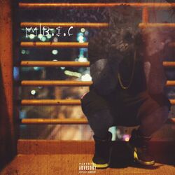 Cover of B.I.C.