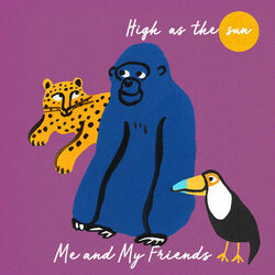 Cover of High as the sun