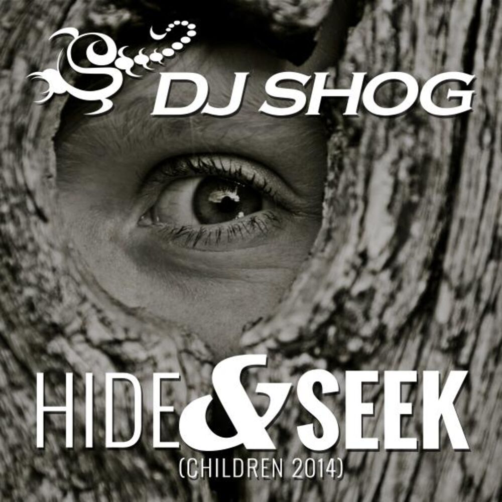 Picture of Hide & Seek (Children 2014)