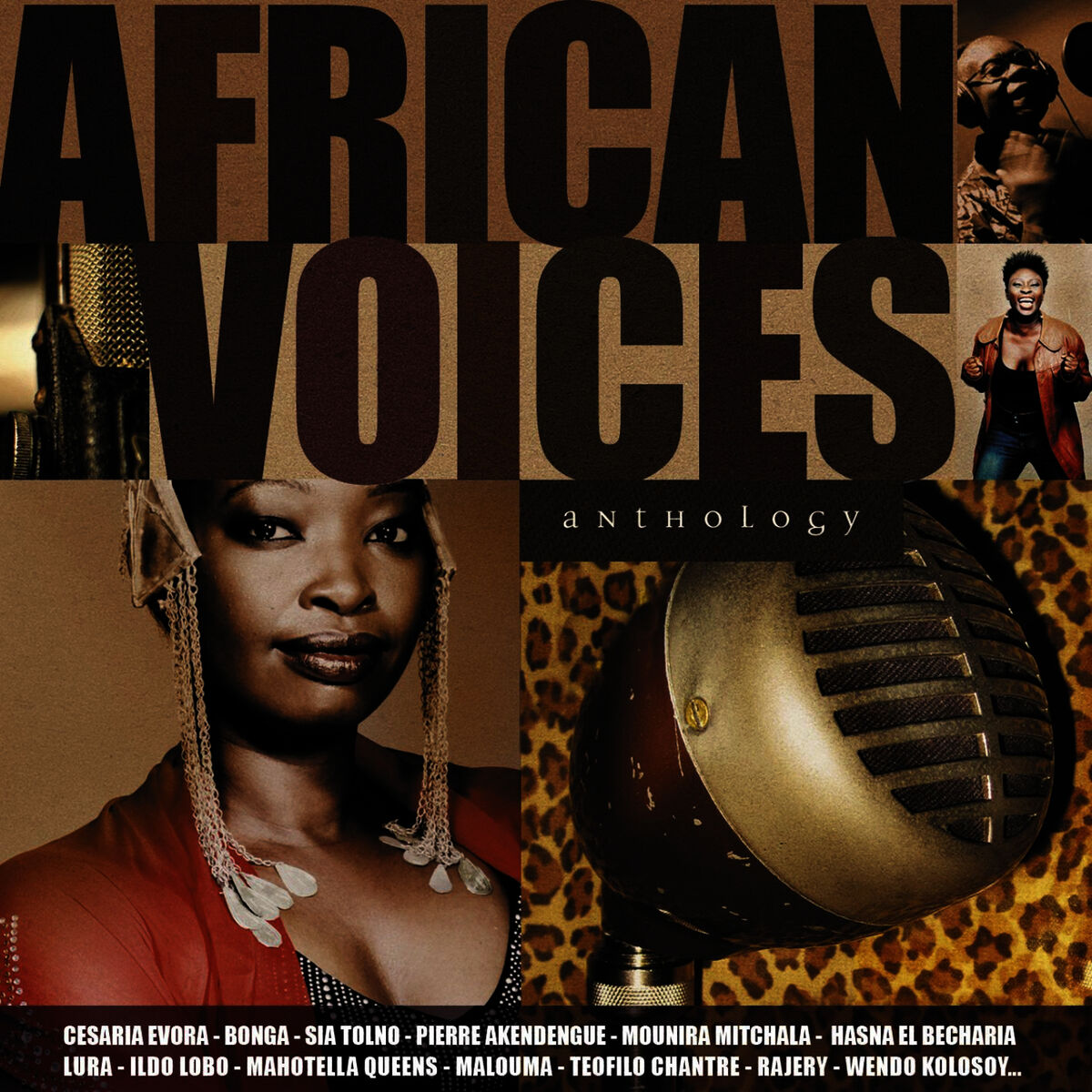 Album cover of African Voices Anthology