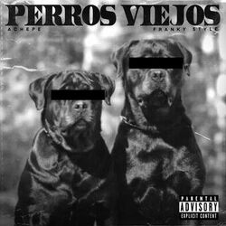 Cover of Perros Viejos