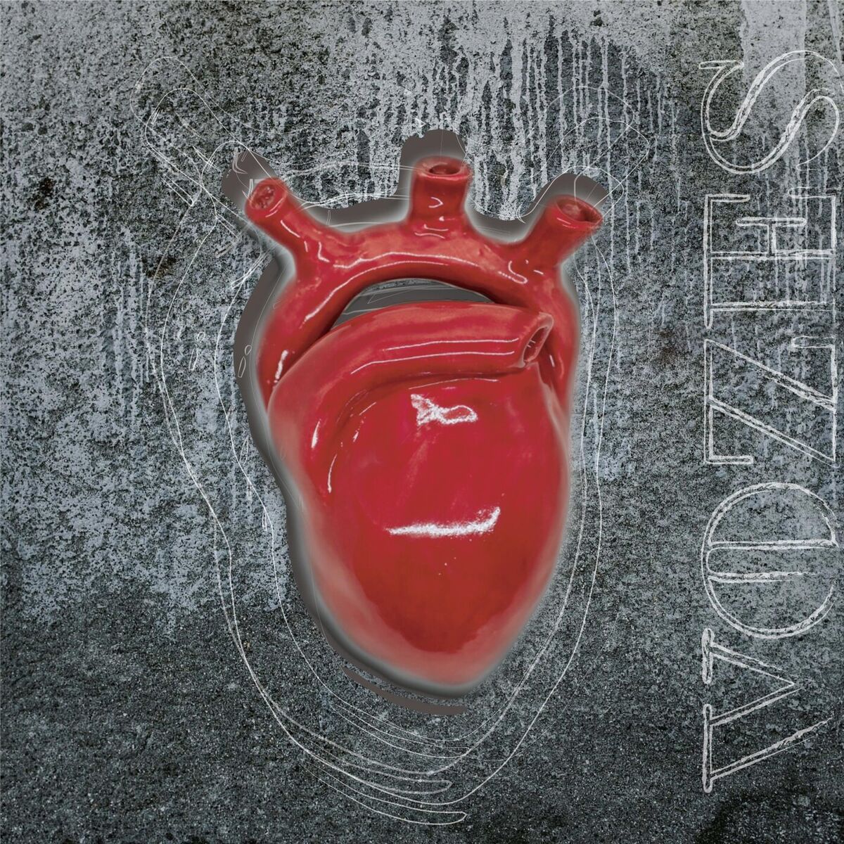 Album cover of Vozes