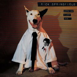 Cover of Working Class Dog