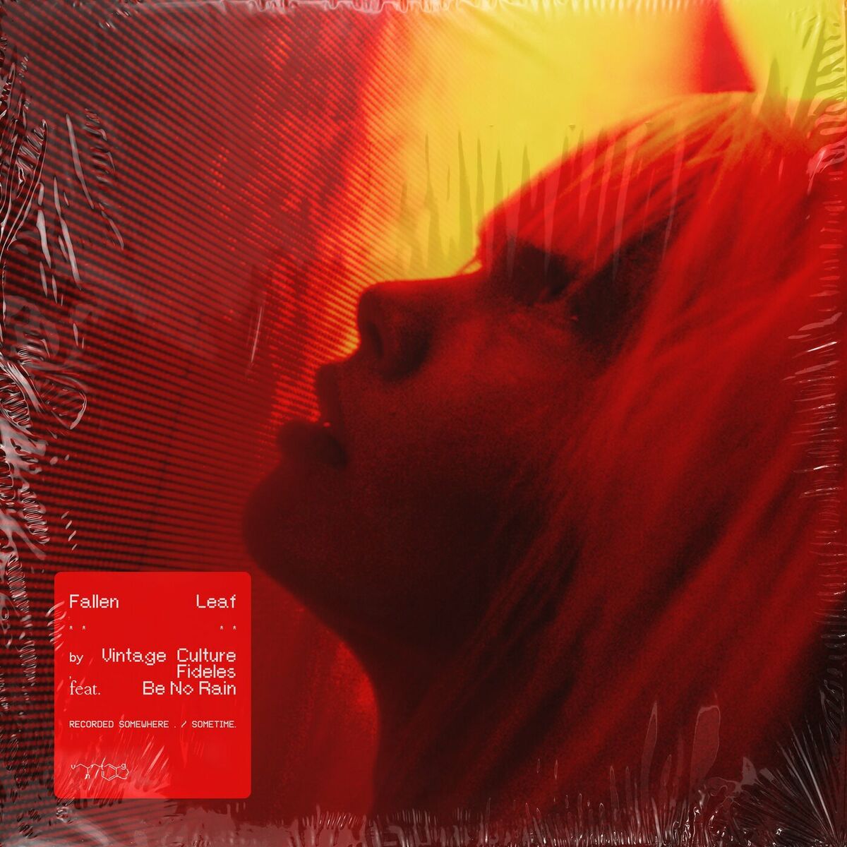 Album cover of Fallen Leaf
