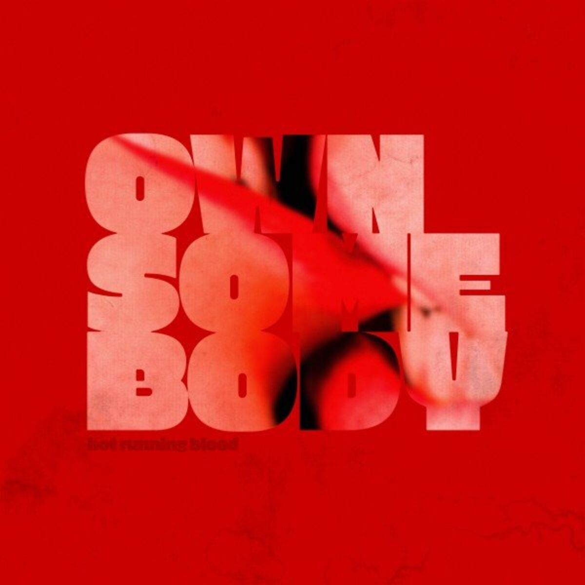 Album cover of Own Somebody
