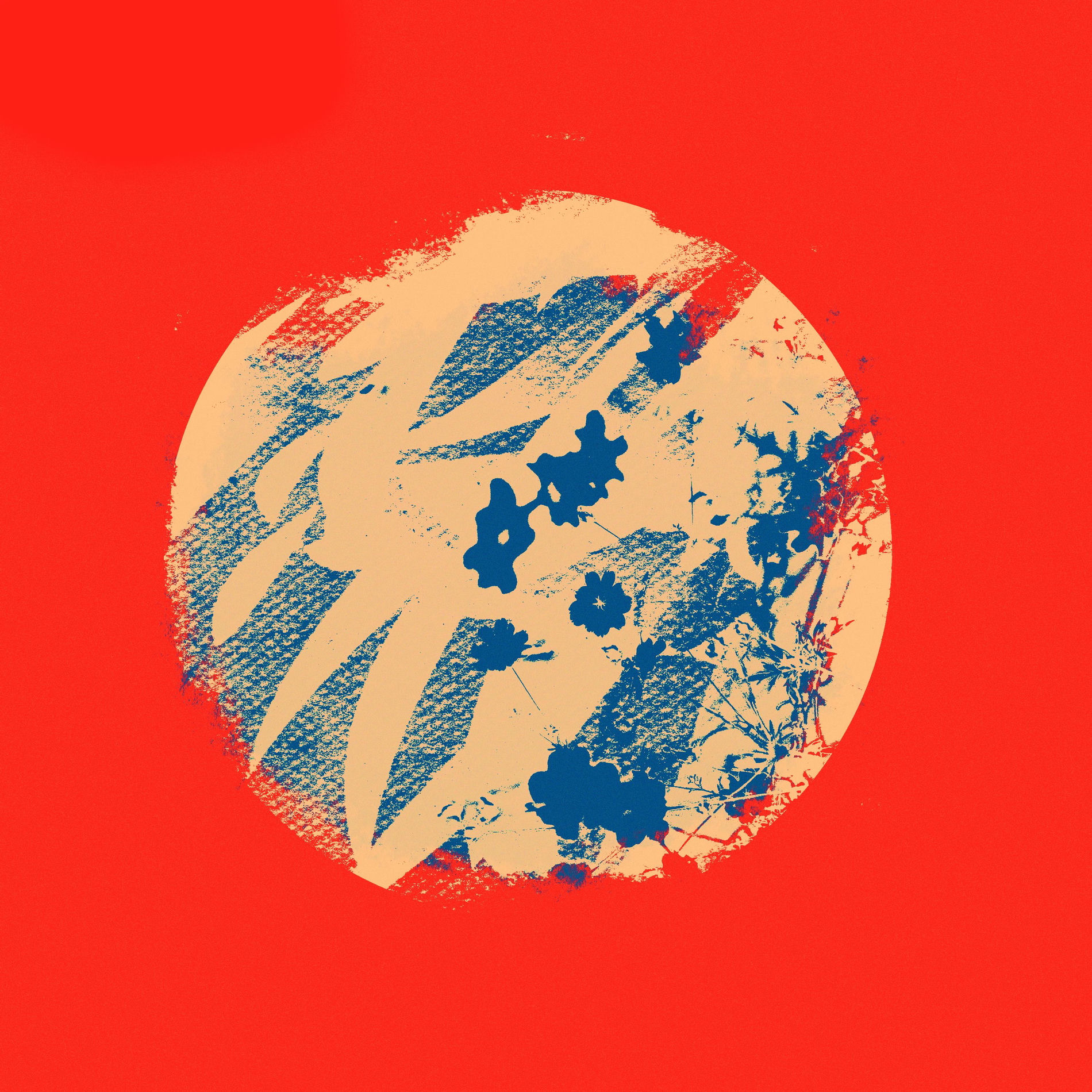 Album cover of Vermilion Summer