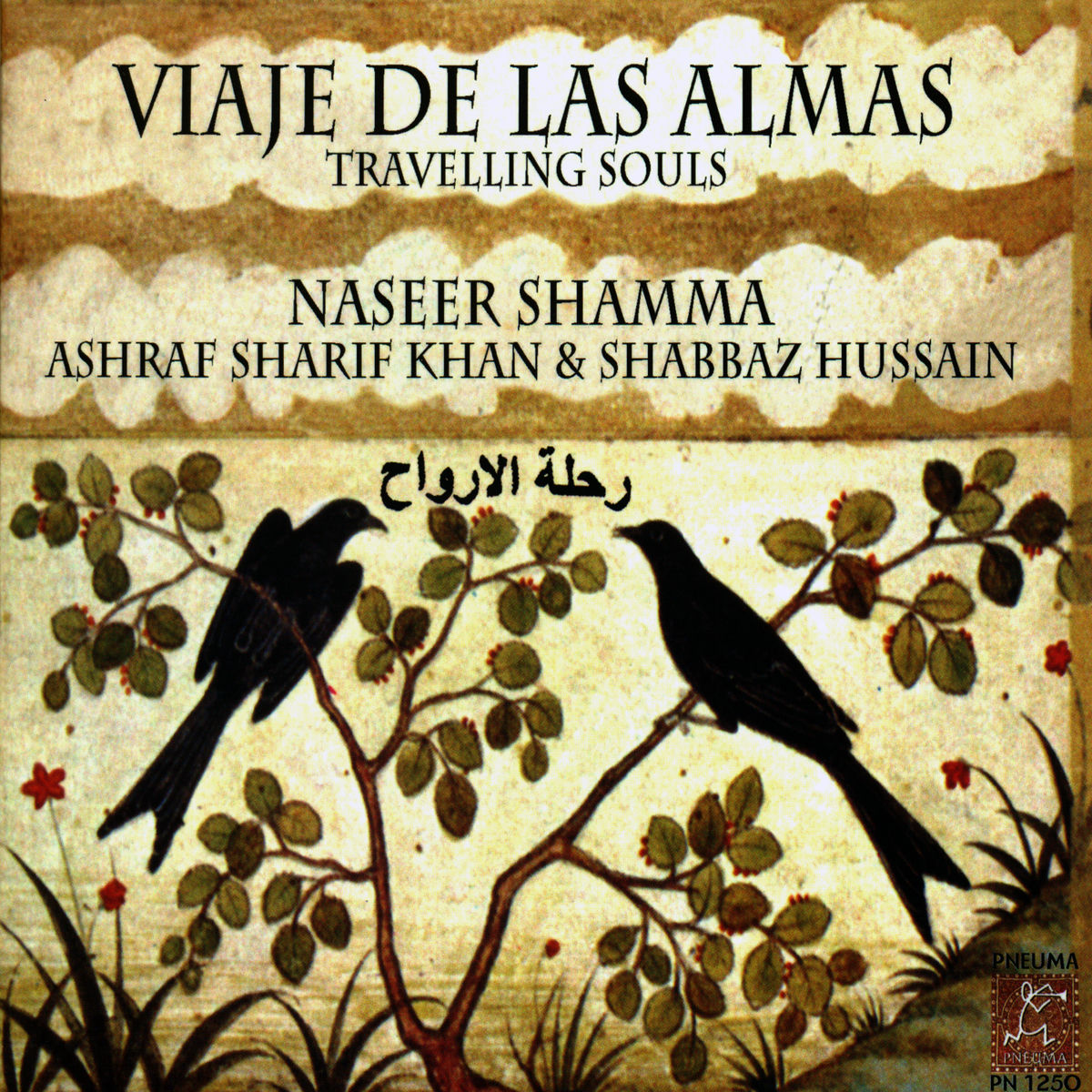 Album cover of Viaje de las Almas. Travelling Souls