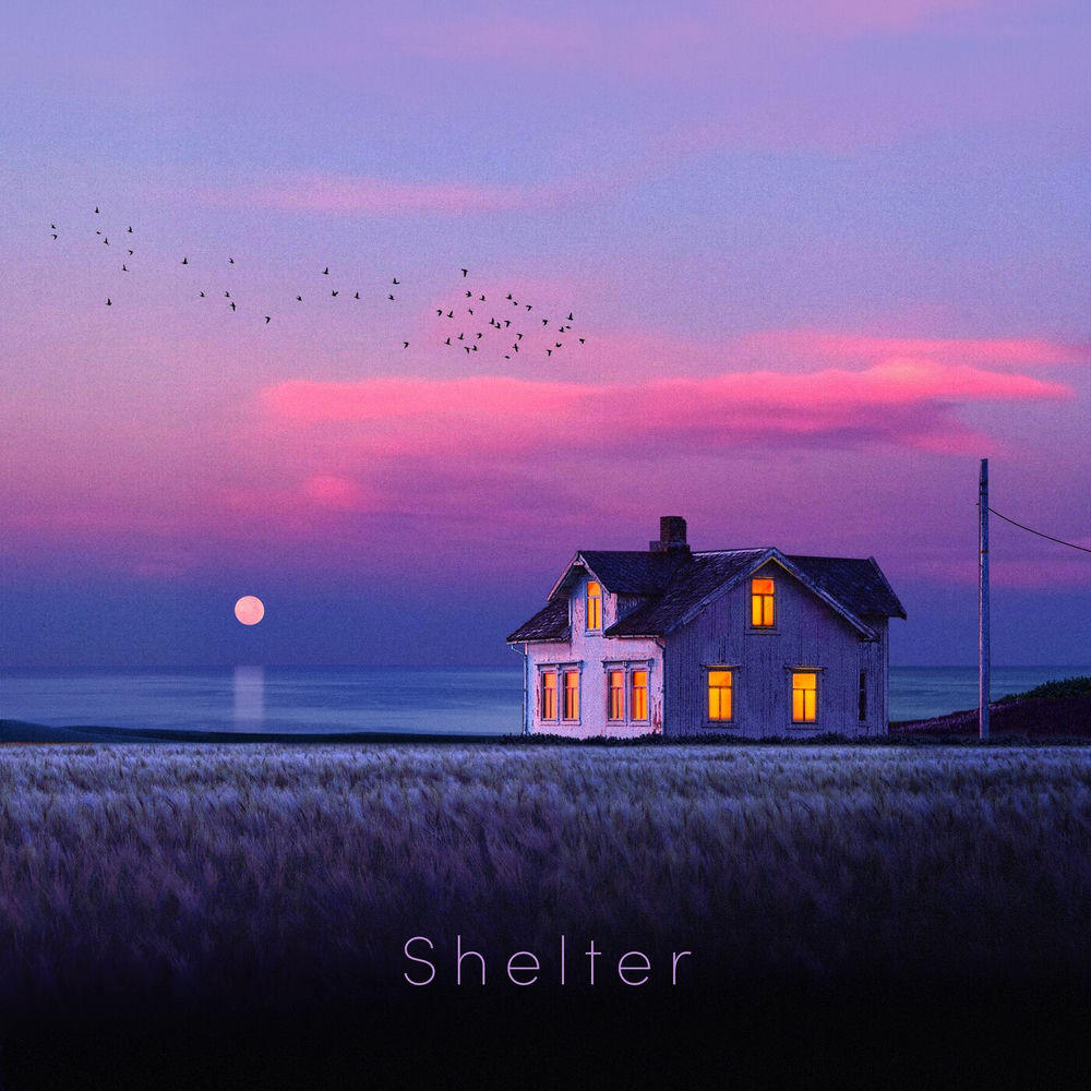 Album artwork for Shelter by Lola