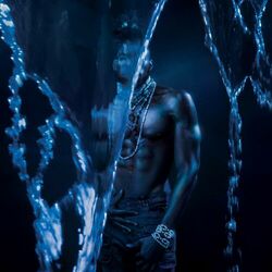 Cover of Submerge